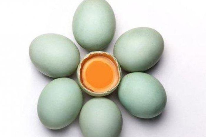 Minum Dua Butir Telur Bebek Sebelum Berhubungan Ranjang, Pasangan Dijamin Puas Dan Betah Di Rumah! - Semua Halaman - Sajian Sedap