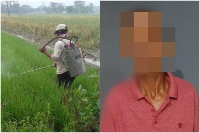 Ribut Soal Pupuk Cair, Dua Pria Lansia di Sulawesi Selatan Terlibat Adu