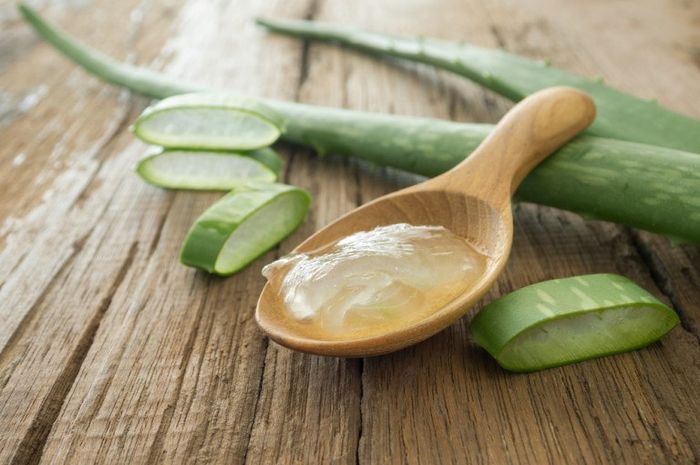 11 Obat Tradisional Untuk Biduran Kronis Termasuk Gel Lidah Buaya Semua Halaman Intisari