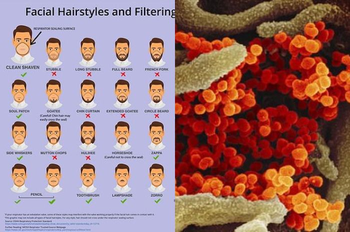 Virus Corona Ternyata Rentan Menginfeksi Orang dengan Bentuk Wajah Tertentu, Kenali Bentuk Wajah yang Mudah Terserang Covid-19