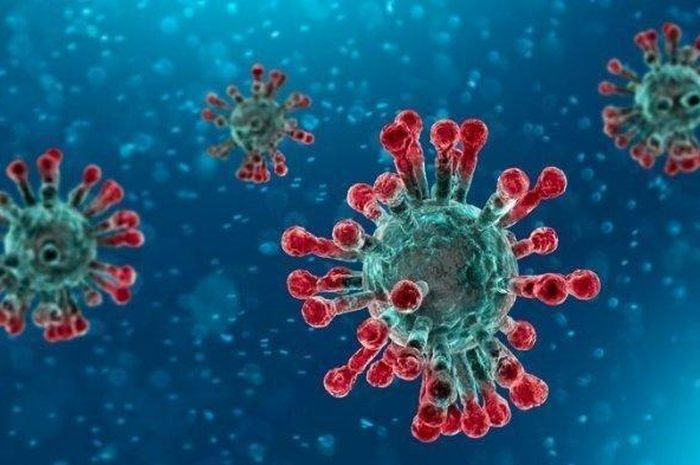 Struktur virus corona disebut ahli virologi mudah hancur ketika di luar tubuh manusia.