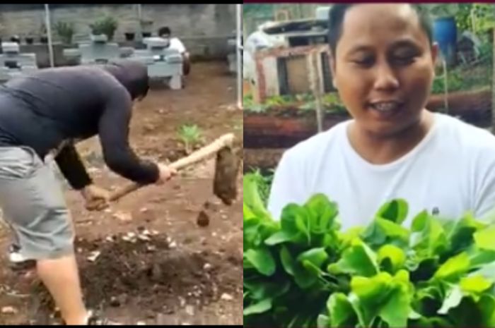 
Kolase foto Narji bercocok tanam saat wabah corona