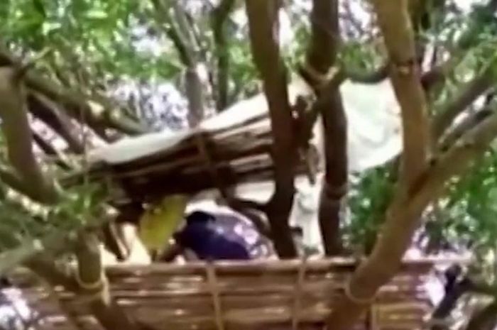 Keluarga di India tinggal di atas pohon untuk melakukan social distancing.
