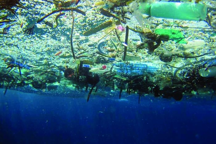 Ada 1,8 Trilun Sampah Mengapung di Atasnya, Seberapa Luasnya Tempat