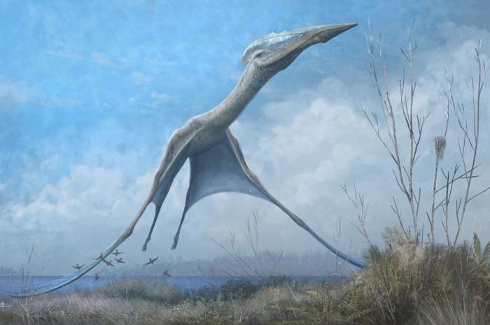 Dinosaurus Pterosaurus Mengajarkan Sistem Penerbangan yang Baik
