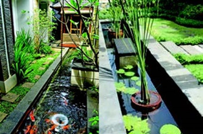 Manfaat Air Kolam Ikan untuk Tanaman: Nutrisi dan Keberlanjutan