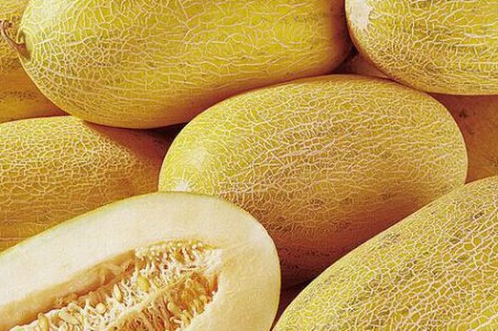 Harus Coba Ini 5 Khasiat Timun Suri Dan Blewah Buat Berbuka Puasa Semua Halaman Cewekbanget