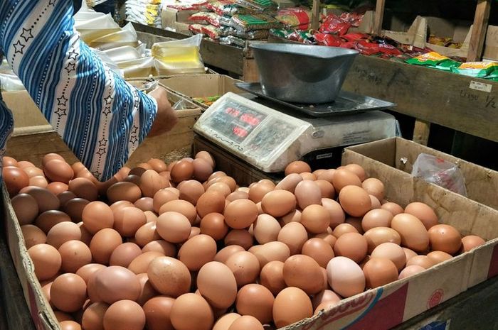 Pilih Telur Ayam Kampung atau Telur Ayam Negeri? Keduanya Memiliki