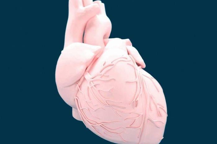 Lirik Lagu dan Chord Gitar 'Elastic Hearts' Milik Reality Club - Sonora.id