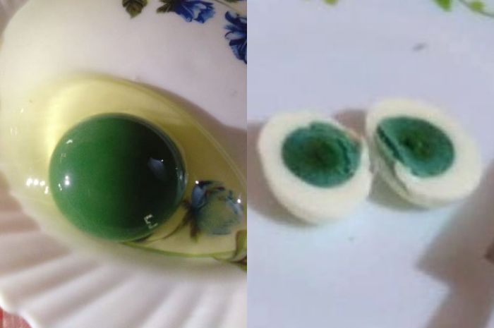 Tanpa Sebab yang Jelas, Ayamayam di Peternakan Ini Menghasilkan Telur