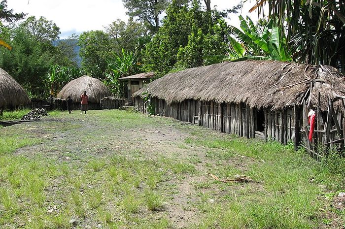 Bukan Hanya Honai, Ada Juga Rumah Adat Papua Lainnya! Ketahui 3 Rumah