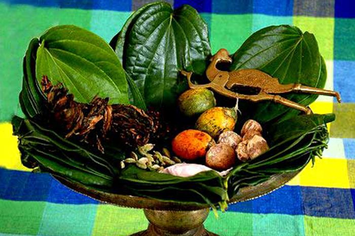Jadi Budaya Nenek Moyang Sejak Dulu, Benarkah Makan Sirih Bisa Memicu