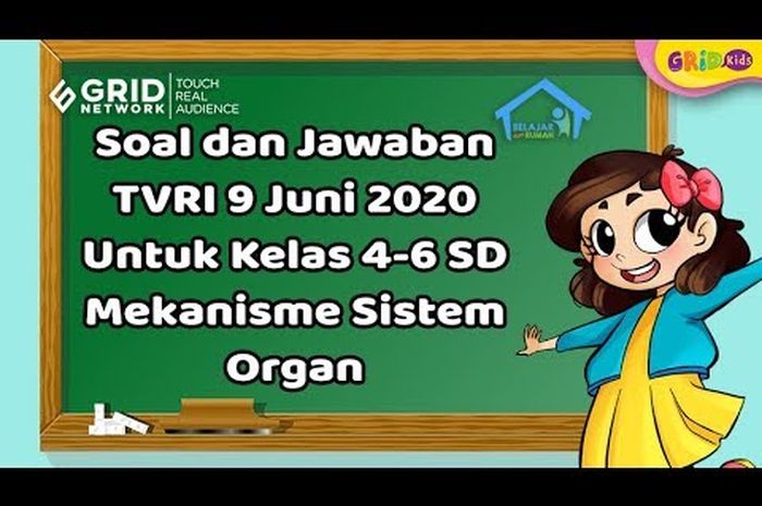 Soal Dan Jawaban Mekanisme Sistem Organ Belajar Dari Rumah Tvri 9 Juni 2020 Semua Halaman Kids