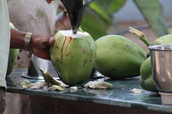Jangan Sembarangan Dikonsumsi, Dibalik Khasiatnya yang Baik untuk