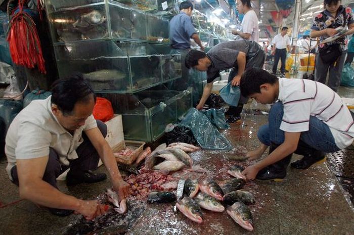 Pasar Basah di Wuhan
