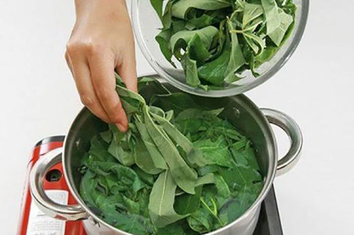 Belum Banyak yang Tahu, Minum Air Rebusan Daun Singkong Bisa Berikan