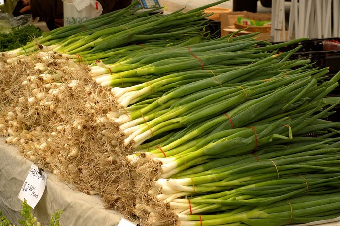 Mudah Layu dan Kering, Ini 3 Tips Menyimpan Daun Bawang Supaya Awet! Bobo