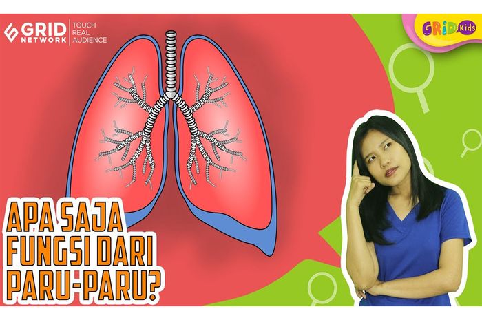 Tak Hanya untuk Pernapasan, Ini Pentingnya ParuParu bagi Manusia Bobo