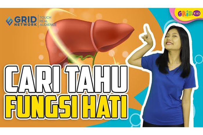Membersihkan Darah Sampai Memproduksi Protein, Ini Dia Fungsi Hati di
