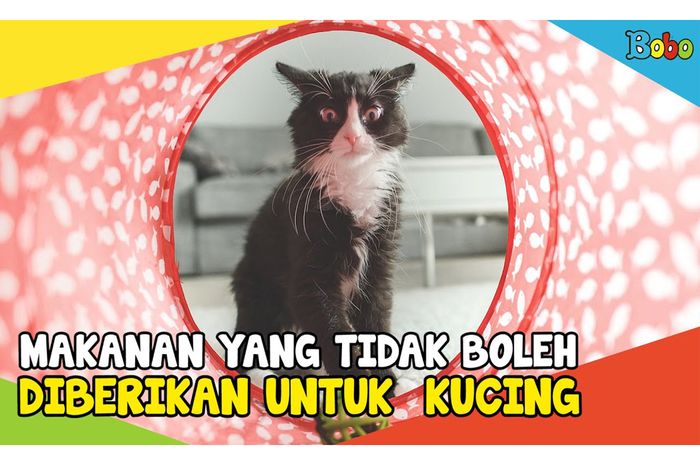 Daging Mentah Sampai Tulang, Ini 5 Jenis Makanan yang Tidak Boleh