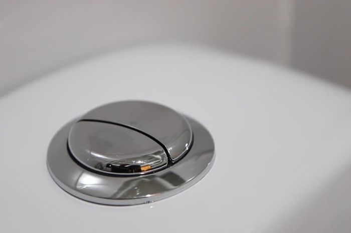 Ini Alasan Sebenarnya Kenapa Toilet Duduk Bisa Punya 2 Tombol Flush ...
