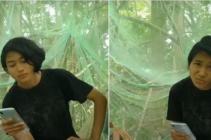 mahasiswi panjat pohon demi ikut ujian online.