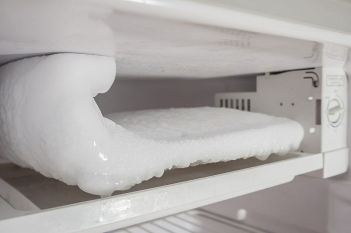 Bunga es di freezer 