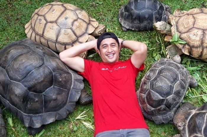 Bisa Jadi Pertanda Keberuntungan Yang Besar Inilah Arti Mimpi Melihat Kura Kura