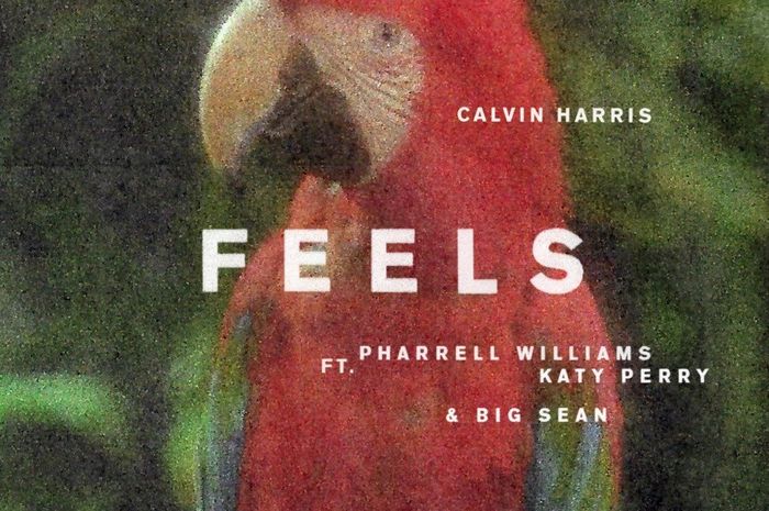 Lirik Lagu Feels Calvin Harris feat Katy Perry dengan 