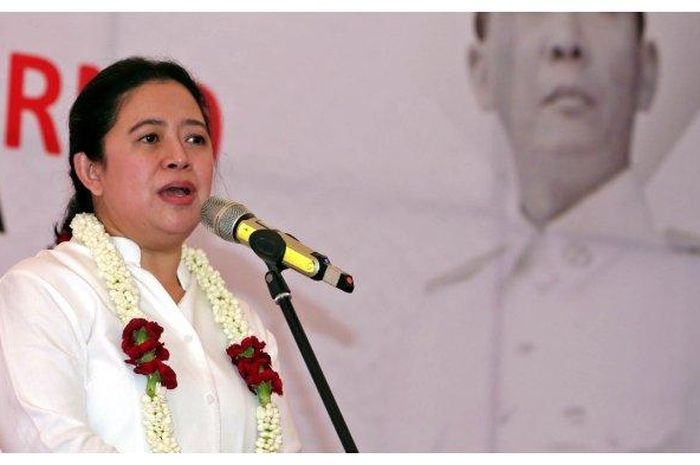 Profil Puan Maharani, Cucu Presiden Soekarno yang Kini Menjabat sebagai