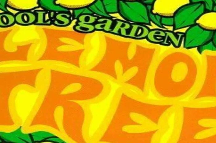 Lirik Lagu I Wonder How, I Wonder Why, 'Lemon Tree' - Fool's Garden