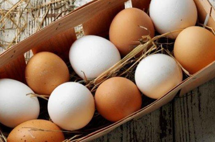 Jangan Sampai Keliru, ini Jenis Telur Ayam yang Boleh Dibekukan