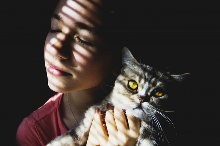 Ternyata Ada Maksud Di Balik Kebiasaan Kucing Yang Suka Menempelkan Kepala Ke Kaki Manusia Dan Kucing Lain Semua Halaman Kids