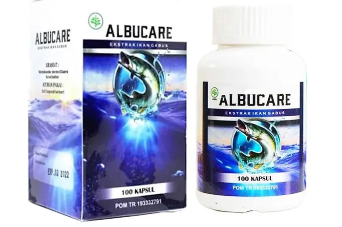 Studi Ekstrak Ikan Gabus Dapat Menurunkan Kadar Gula Darah Pada Penderita Diabetes Semua Halaman Grid Health