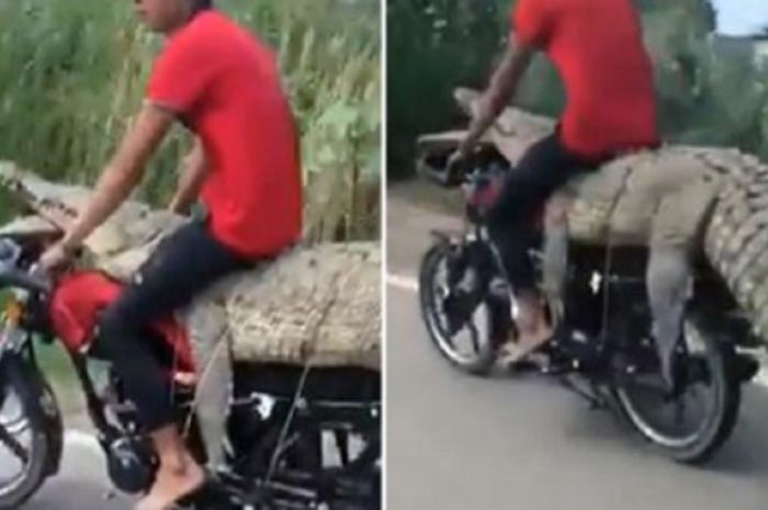 Penampakan foto viral