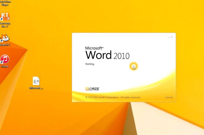 Microsoft 2010 sale