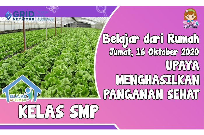 Cari Tahu Upaya Petani Urban Menghasilkan Panganan Sehat di Video Ini