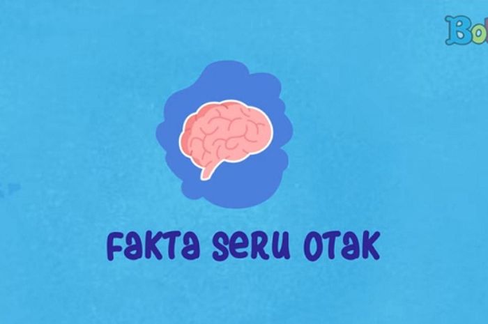 Wah, Ternyata Manusia Bukan Pemilik Otak Terbesar! Ketahui Berbagai