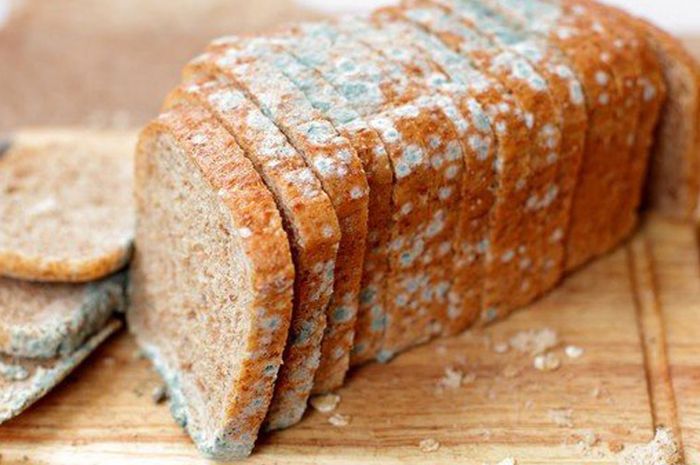 Mengerikan! Inilah yang Terjadi Jika Kita Tidak Sengaja Memakan Makanan