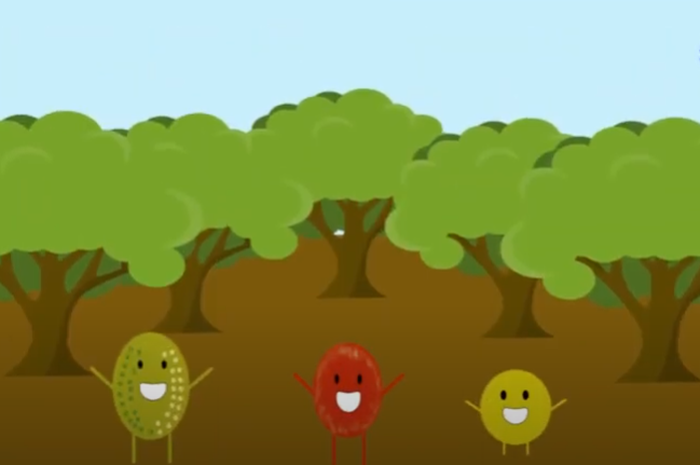 Apa Saja Buah Langka di Kebun Raya Bogor? Materi Belajar dari Rumah SD