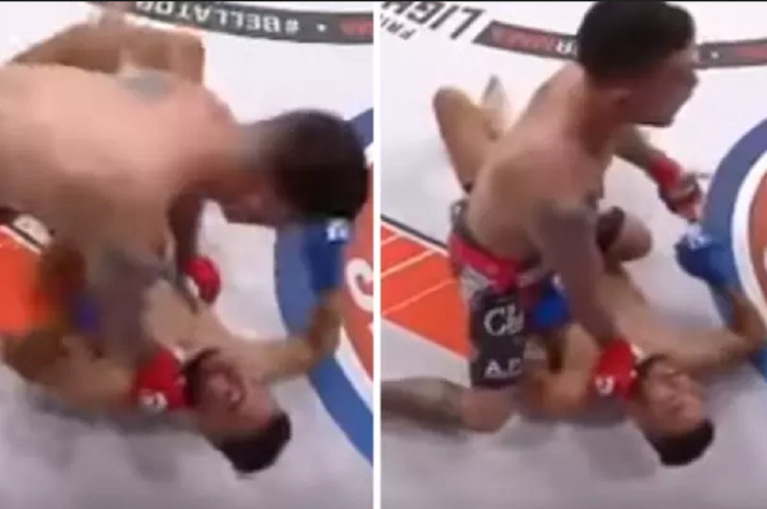 Pertarungan dua petarung MMA, Chad Georges dan Mark Vorgeas pada Bellator 136 tahun 2015 lalu.