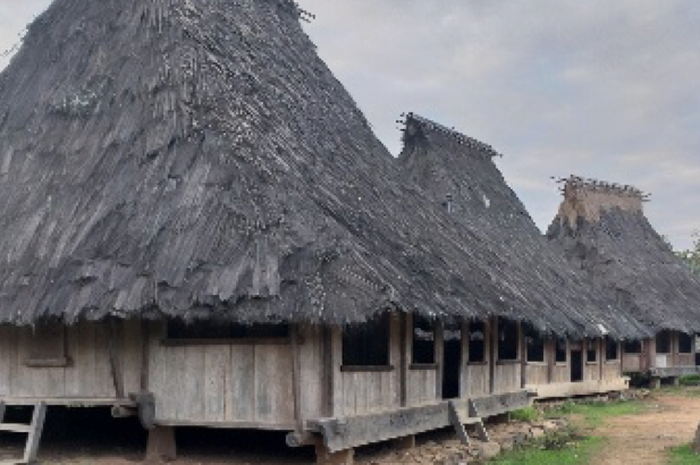 40 Rumah Adat Ende Lio Terbagus Top Gambar Rumah 24 40 Rumah Adat Ende Lio Terbagus Top Gambar Rumah 24