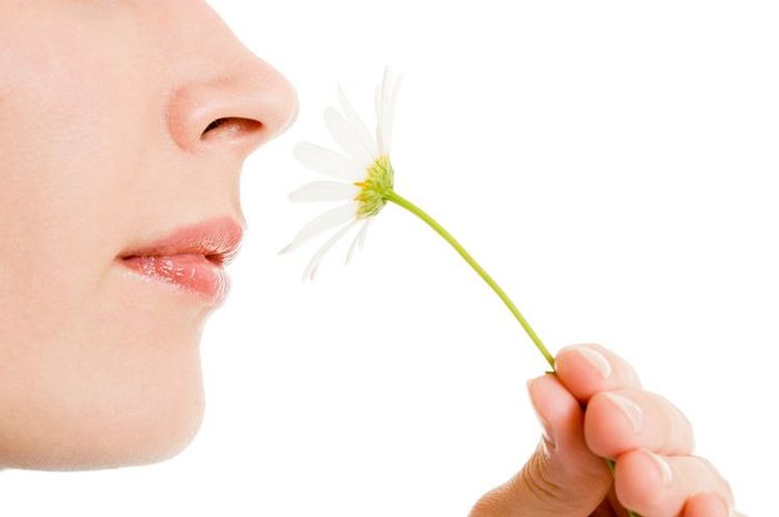 Aroma mencium hidung tidak obat bisa Hidung Tidak