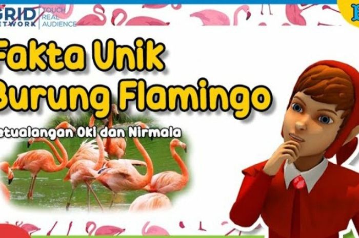 Dongeng Anak, Petualangan Oki dan Nirmala Fakta Unik Burung Flamingo