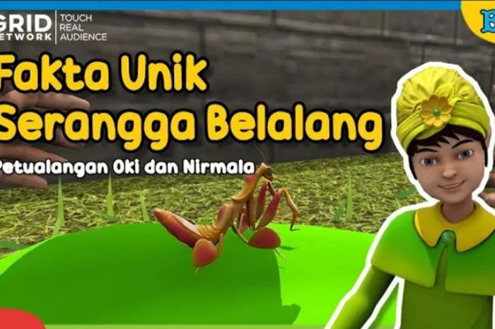 Dongeng Anak, Petualangan Oki dan Nirmala Fakta Unik Serangga Belalang