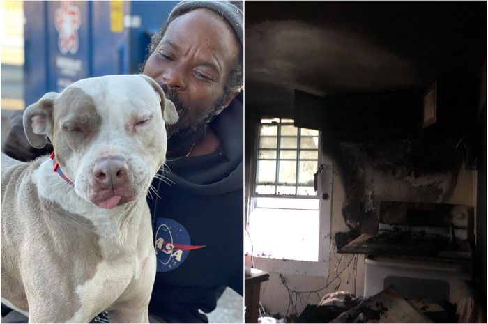 Seperti Pahlawan, Seorang Tuna Wisma Menyelamatkan 6 Anjing dan 10