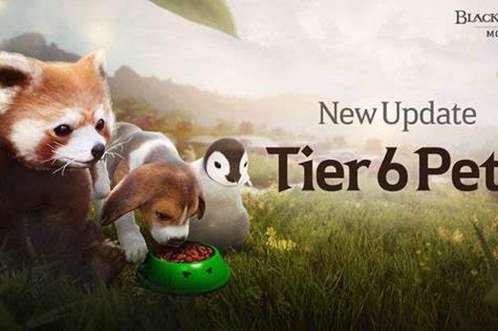 Black Desert Mobile releases an update with a variety of interesting content such as Tier 6 Pets.