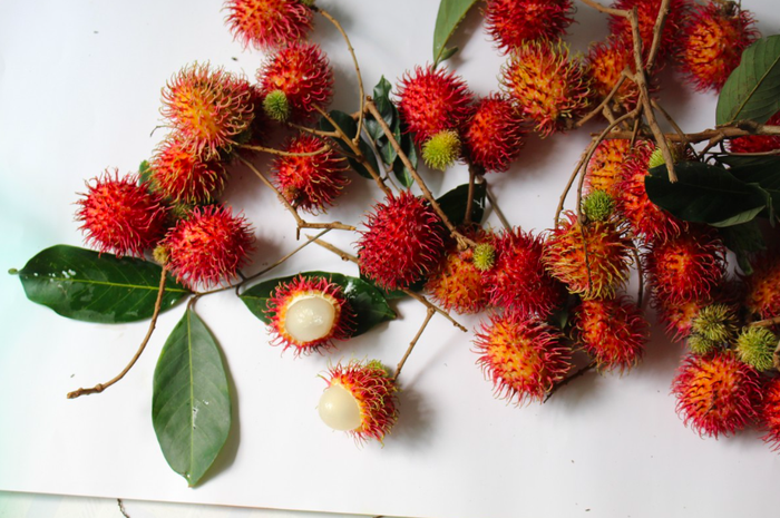 Sering Dibuang Begitu Saja Siapa Sangka Air Rebusan Daun Rambutan Bisa Berikan Manfaat Ini Untuk Tubuh Semua Halaman Sajian Sedap