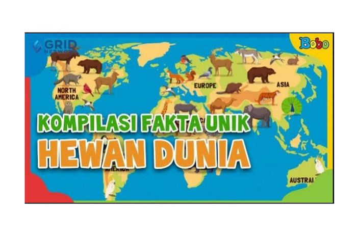 Berbagai Fakta Unik Hewan di Dunia, Ada yang Bisa Mendeteksi Bencana
