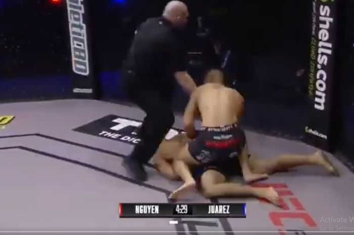 Momen saat pengadil (baju hitam) menghentikan jagoan MMA, Steve Nguyen setelah memukul lawannya, Jorge Juarez yang sudah pingsan. 